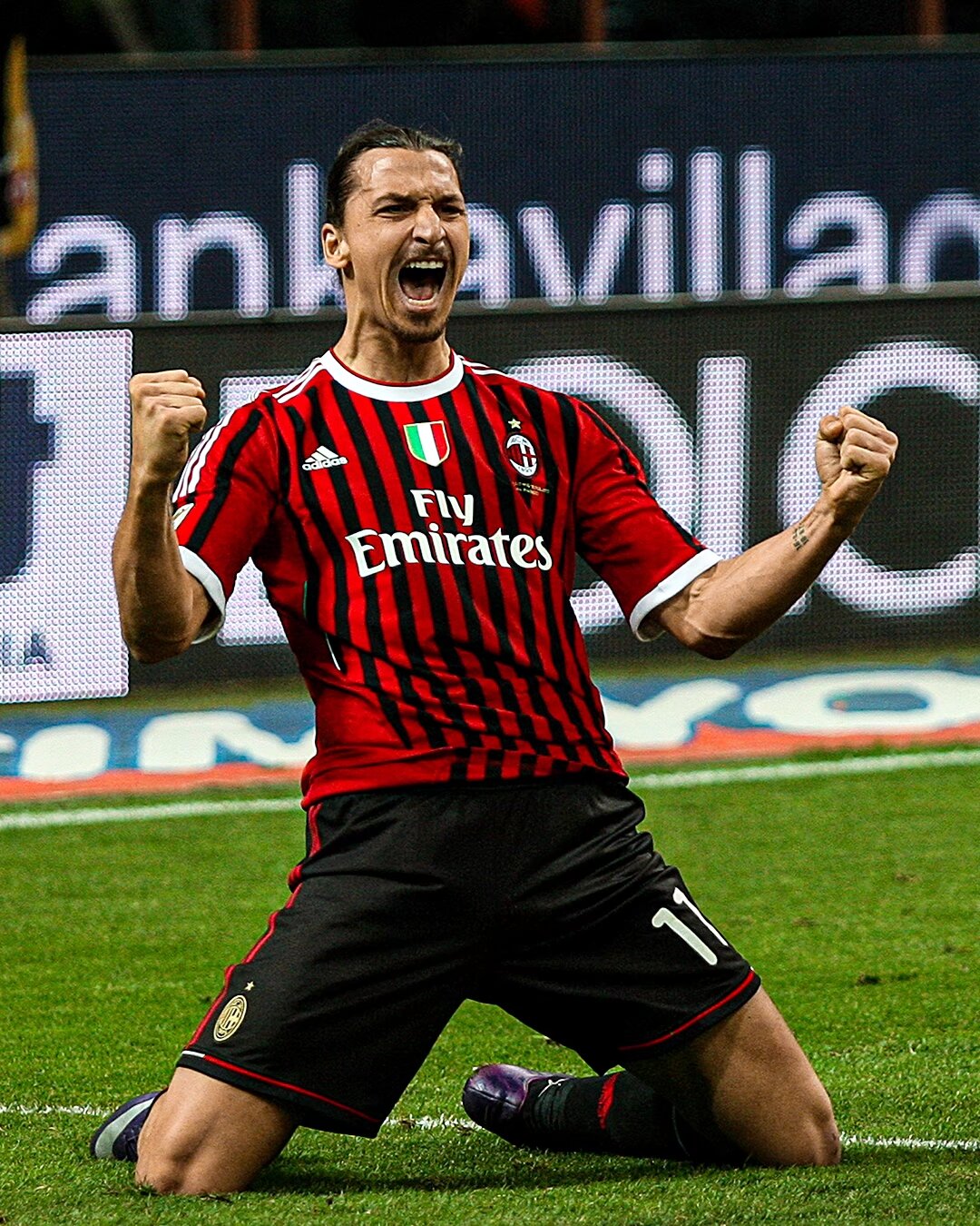 芳雨主持 芳雨主持